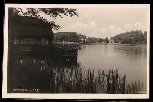 AK Hammer am See, Seeblick mit Pavillon
