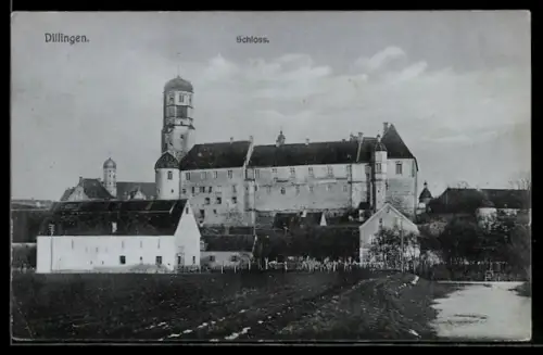 AK Dillingen, Schloss