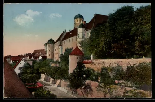 AK Dillingen a. D., Schloss mit Strassenpartie