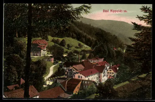 AK Bad Rippoldsau, Panorama