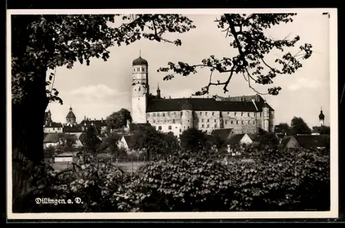 AK Dillingen, Ortsansicht mit Schloss