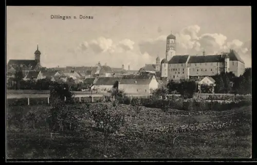 AK Dillingen a. Donau, Schloss, Im Hintergrund Kirche