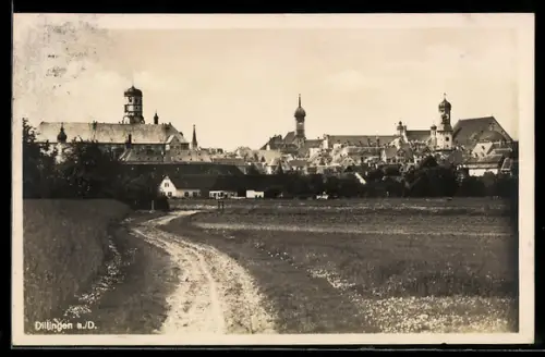 AK Dillingen a. D., Ortspartie mit Schloss