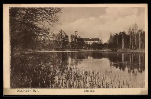 AK Dillingen a. D., Schloss übers Wasser gesehen
