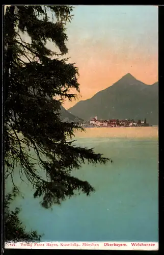 AK Walchensee /Oberbayern, Seeblick auf Ort und Berge
