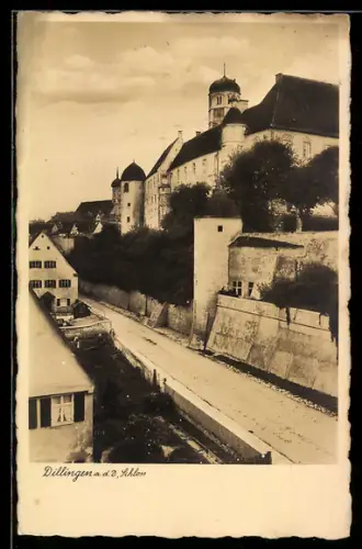 AK Dillingen a. d. Donau, Schloss mit Strasse