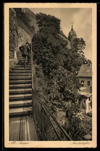 AK Zittau, Altes Museum, Amtsstufen
