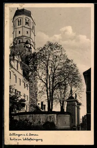 AK Dillingen a.d. Donau, Partie am Schlosseingang