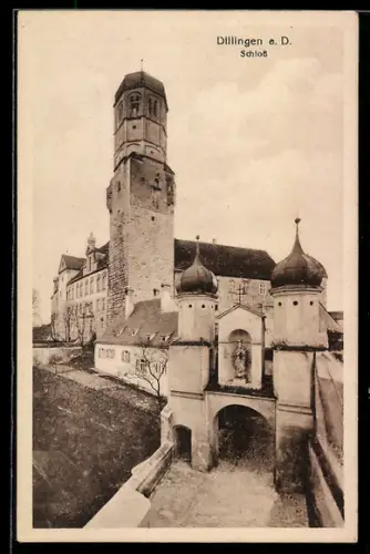 AK Dillingen a. D., Schloss aus der Vogelschau