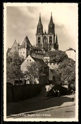 AK Meissen a. d. Elbe, Burgberg, Dom, Hohlweg
