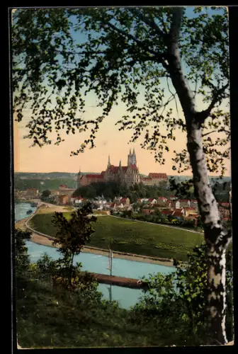 AK Meissen, Blick von den Proschwitzer Höhen auf Albrechtsburg und Dom