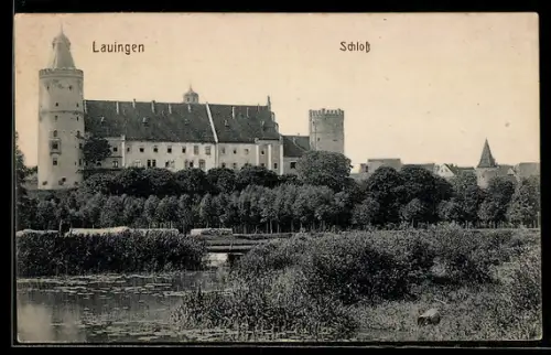 AK Lauingen, Schloss