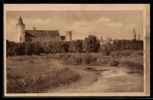 AK Lauingen a. D., Schloss