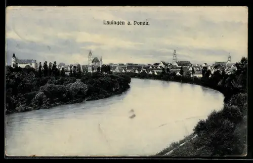 AK Lauingen a. Donau, Teilansicht mit Schloss