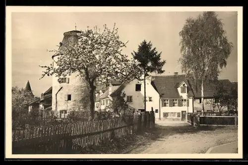 AK Dillingen /Do., Strassenpartie mit Turm