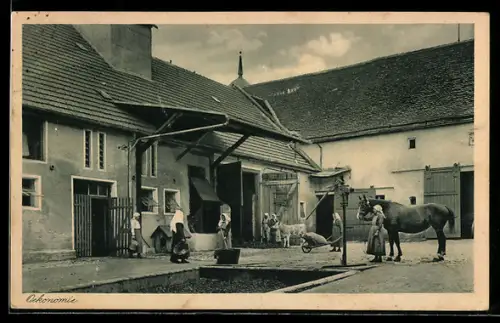 AK Dillingen a. D., J. E. Wagnersche Wohltätigkeitsanstalten: Taubstummenanstalt, Oekonomie