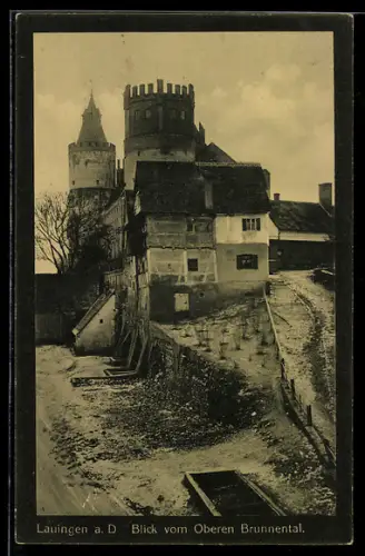 AK Lauingen a. D., Blick vom Oberen Brunnental