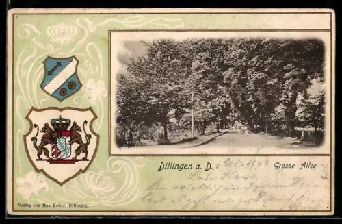 Passepartout-Lithographie Dillingen a. D., Strassenpartie Grosse Allee mit Bäumen