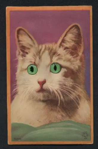 Geräusch-AK Niedliche Katze mit grünen Augen