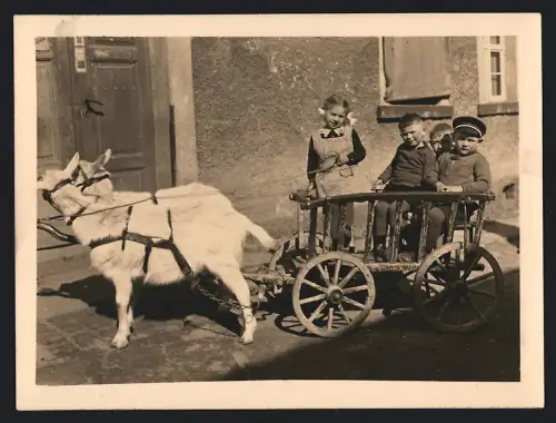 Fotografie Mädchen und Knaben fahren mit Ziegengespann