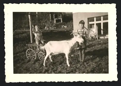 Fotografie Knabe mit Luftwaffen-Mütze will Ziege für eine Fahrt einspannen