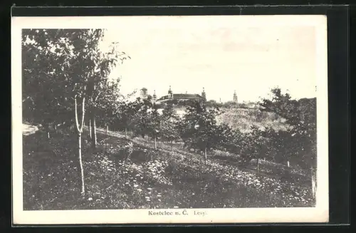 AK Kostelec n. C., Celkový pohled