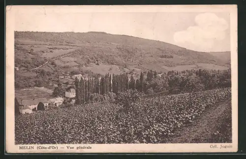 AK Melin, Vue générale