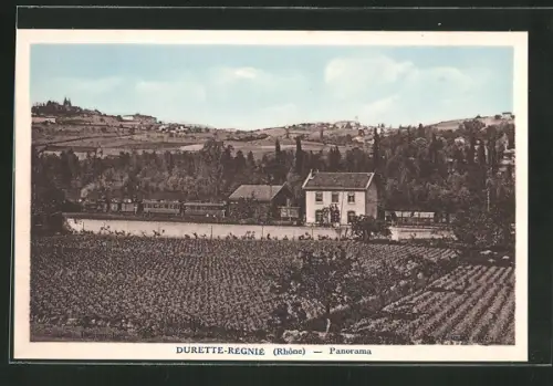 AK Durette-Régnié, Panorama
