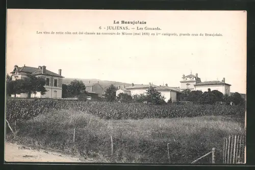 AK Julienas, Les Gonards, Le Beaujolais
