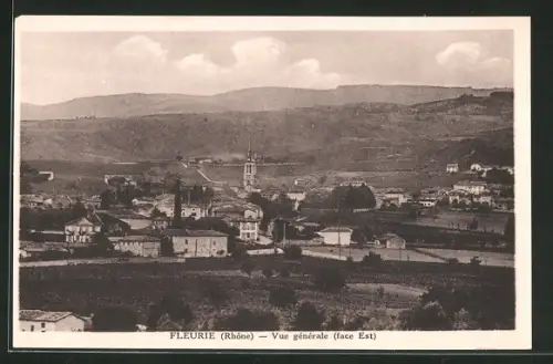 AK Fleurie, Vue generale, Face Est