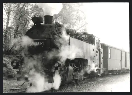 Fotografie Deutsche Reichsbahn DDR, Eisenbahn - Kleinbahn Dampflok Nr. 99 1731-1