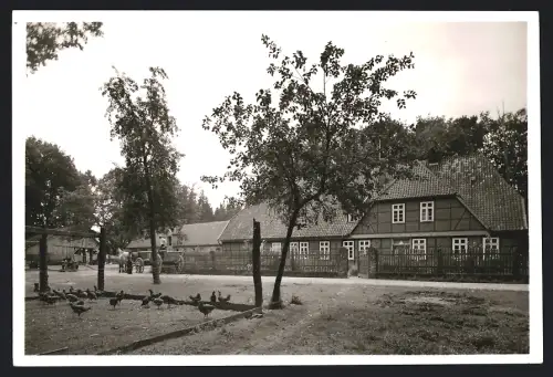 Fotografie Cramer, Dortmund, Ansicht Fallingbostel, Gehöft in der Heide