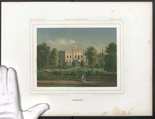 Stahlstich Tantow, Paar beim Spaziergang durch den Schlossgarten, ausgef. v. Th. Albert, 38 x 28cm