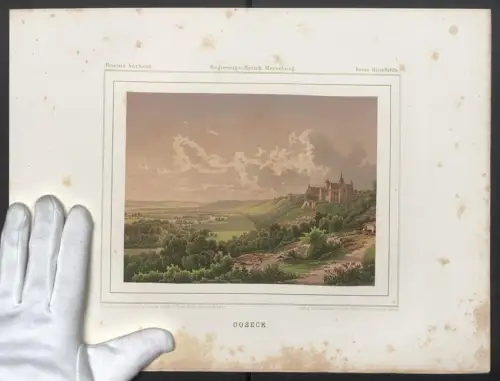 Stahlstich Goseck, Schloss mit Landschaftspanorama, ausgef. v. T. Albert, 38 x 28cm