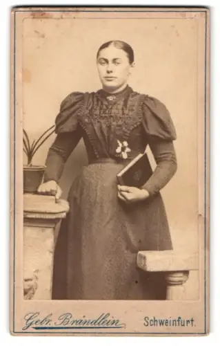 Fotografie Gebr. Brändlein, Schweinfurt, Elegant gekleidete Frau mit Buch