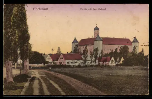 AK Höchstädt, Partie mit dem Schloss