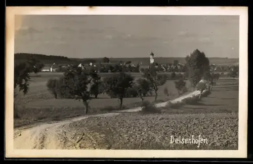 AK Deisenhofen, Ortsansicht mit Landstrasse