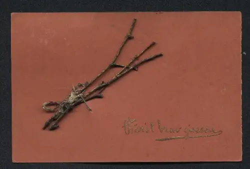 Trockenblumen-AK Zweige mit Schleife