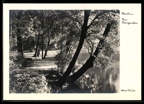 Foto-AK Max Baur: Berlin, Partie im Tiergarten