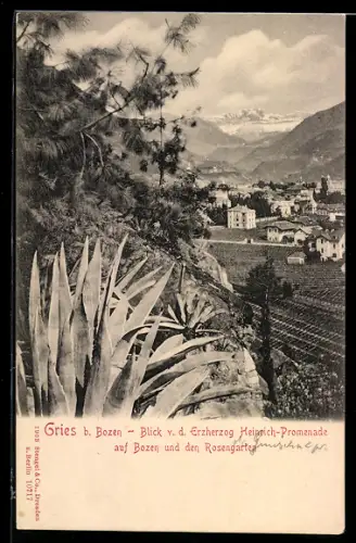 AK Gries-Bozen, Blick auf Stadt und Rosengarten