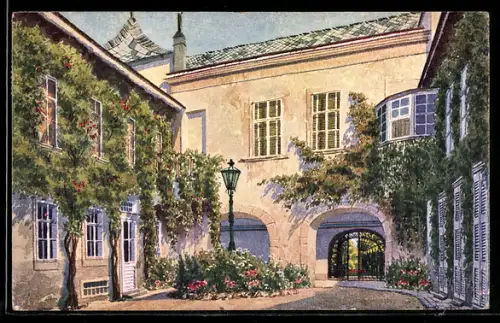 Künstler-AK Wien, Altwiener Hof mit Weinranken und Tor