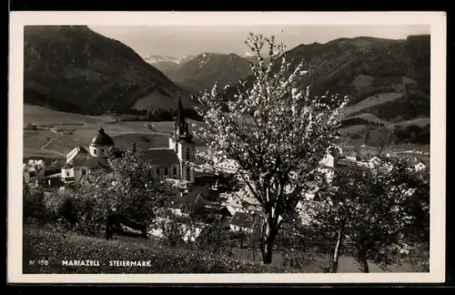 AK Mariazell /Steiermark, Panorama mit Basilika und Bergkulisse