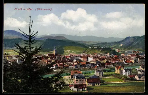 AK Bruck a. Mur, Panorama mit Mur und Kirche