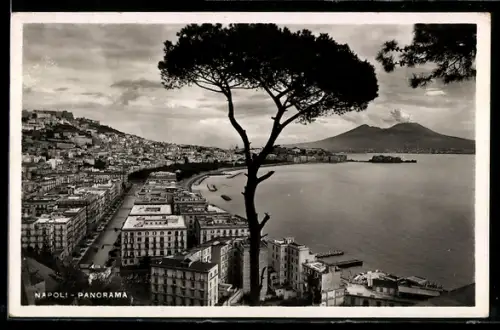 AK Napoli, Panorama