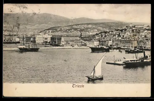 AK Trieste, Panorama