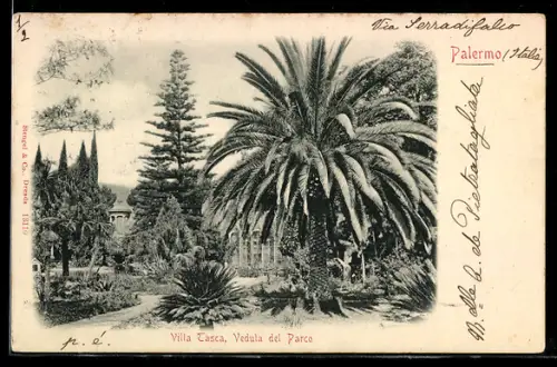 AK Palermo, Villa Tasca, Veduta del Parco