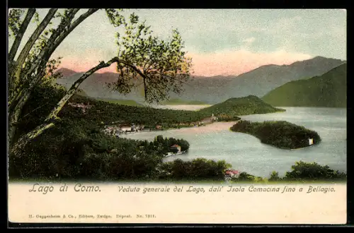AK Bellagio, Veduta generale del Lago, dall` Isola Comacina fino