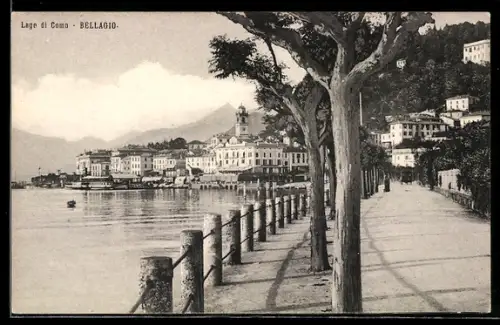 AK Bellagio /Lago di Como, Panorama mit Promenade