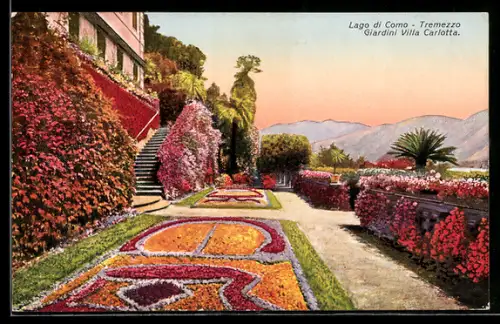 Künstler-AK Tremezzo /Lago di Como, Giardini Villa Carlotta