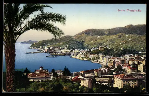 AK Santa Margherita Ligure, Vista panoramica del porto e della città con palme in primo piano
